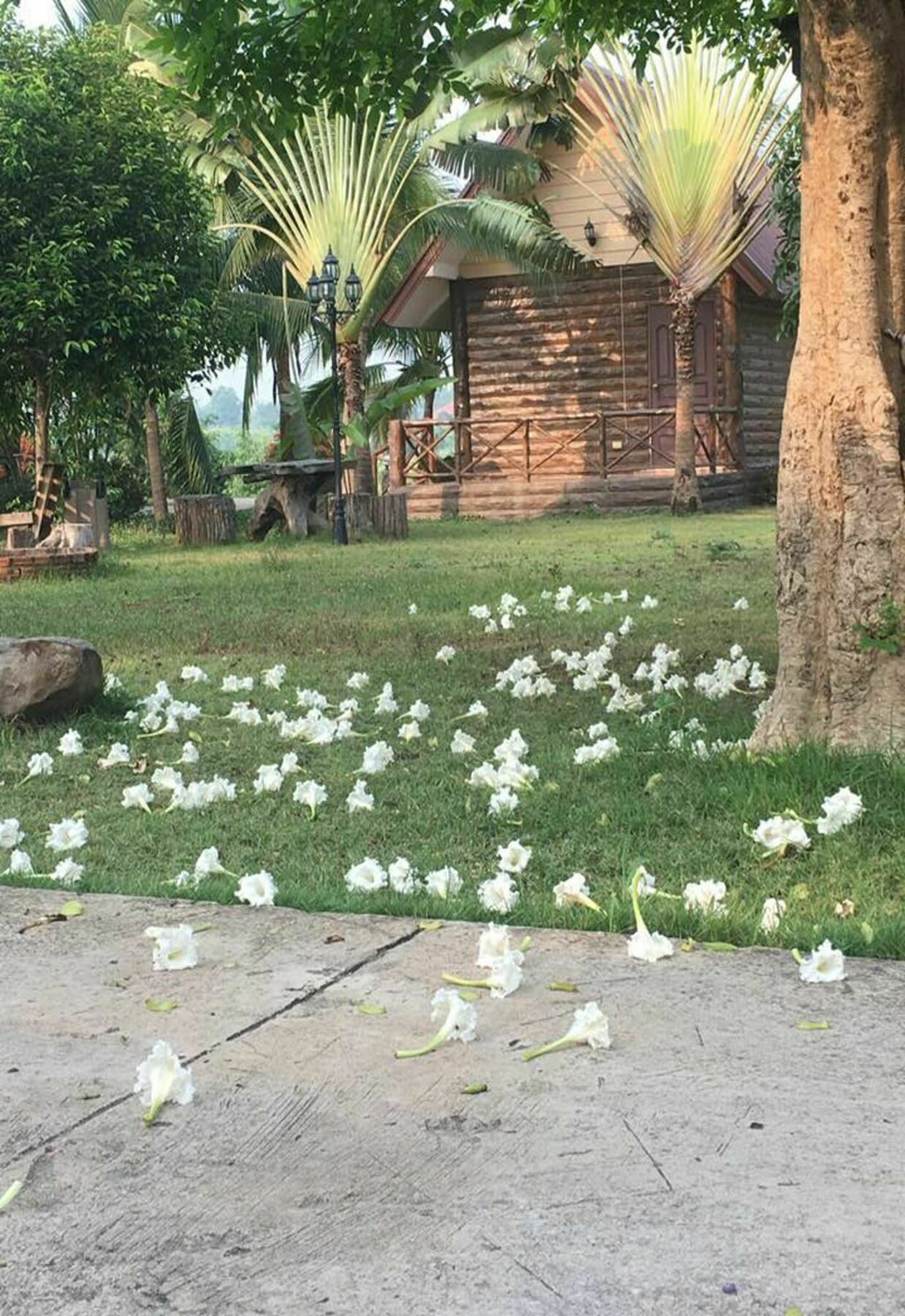 Bansuan Chomdao Resort Khon Kaen Eksteriør billede
